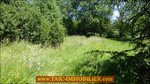 A vendre,12,AVEYRON,Charmant corps de ferme rénové d'environ 110m2 , puits, dépendances sur 3800m2 de terrain,naucelle,rieupeyroux,taic immobilier,maison de charme,ferme rénovée,puits,calme,vue,belle pierre,agence immobilière cordes sur ciel, occitanie,12