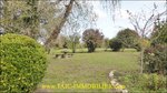 A vendre,12,aveyron,jolie maison de village,parc,puits,tanus,requista,calme,charme,agence immobiliere cordes sur ciel,tarn