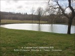 a vendre,tarn,castres,81,tarn immobilier,tarn immobilier caractère,ferme,rénovée,dépendances,puits,etang,lac,box chevaux,piscine,sidobre,agence immobilière,taic-immobilier,belles demeure,maisons de charme,hectares