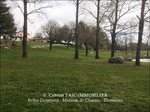 a vendre,tarn,castres,81,tarn immobilier,tarn immobilier caractère,ferme,rénovée,dépendances,puits,etang,lac,box chevaux,piscine,sidobre,agence immobilière,taic-immobilier,belles demeure,maisons de charme,hectares