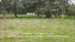 a vendre,tarn,lavaur,hectares,puits,maison de maitre,longere,gite,chambre d'hote,grange,paririe,tarn,belle demeure,maison de caractere,taic immobilier,belle demeure, occitanie