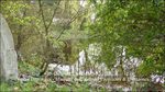 a vendre,tarn,lavaur,hectares,puits,maison de maitre,longere,gite,chambre d'hote,grange,paririe,tarn,belle demeure,maison de caractere,taic immobilier,belle demeure, occitanie