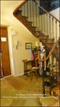 a vendre,tarn,lavaur,hectares,puits,maison de maitre,longere,maison de gardien,gite,chambre d'hote,grange,paririe,tarn,belle demeure,maison de caractere,taic immobilier,belle demeure, occitanie