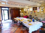 a vendre,tarn,lavaur,hectares,puits,maison de maitre,longere,maison de gardien,gite,chambre d'hote,grange,paririe,tarn,belle demeure,maison de caractere,taic immobilier,belle demeure, occitanie