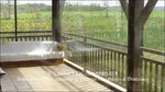 a vendre,tarn,lavaur,hectares,puits,maison de maitre,longere,maison de gardien,gite,chambre d'hote,grange,paririe,tarn,belle demeure,maison de caractere,taic immobilier,belle demeure, occitanie