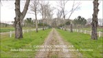 a vendre,tarn,lavaur,hectares,puits,maison de maitre,longere,maison de gardien,gite,chambre d'hote,grange,paririe,tarn,belle demeure,maison de caractere,taic immobilier,belle demeure, occitanie