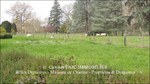 a vendre,tarn,lavaur,hectares,puits,maison de maitre,longere,maison de gardien,gite,chambre d'hote,grange,paririe,tarn,belle demeure,maison de caractere,taic immobilier,belle demeure, occitanie