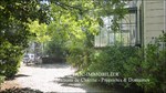 A vendre,Tarn,Mazamet,Castres,Hotel Particulier,Piscine,Orangeraie,Centre ville,Aéroport,luxe,prestige,calme,parc,garage,Tarn Aveyron immobilier de caractère,taic immobilier