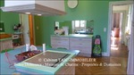 A vendre,Tarn,Mazamet,Castres,Hotel Particulier,Piscine,Orangeraie,Centre ville,Aéroport,luxe,prestige,calme,parc,garage,Tarn Aveyron immobilier de caractère,taic immobilier