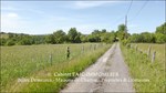 A vendre,corps de ferme,hectares,puits,source,calme,prairies,bois,dependances,grange,Castelmary,Naucelle,Tanus,Albi,Rodez,propriété equestre,taic-immobilier.com,agence immobiliere Tarn,Aveyron,81,12