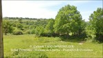 A vendre,corps de ferme,hectares,puits,source,calme,prairies,bois,dependances,grange,Castelmary,Naucelle,Tanus,Albi,Rodez,propriété equestre,taic-immobilier.com,agence immobiliere Tarn,Aveyron,81,12