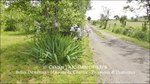 A vendre,corps de ferme,hectares,puits,source,calme,prairies,bois,dependances,grange,Castelmary,Naucelle,Tanus,Albi,Rodez,propriété equestre,taic-immobilier.com,agence immobiliere Tarn,Aveyron,81,12