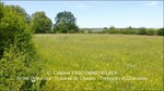 A vendre,corps de ferme,hectares,puits,source,calme,prairies,bois,dependances,grange,Castelmary,Naucelle,Tanus,Albi,Rodez,propriété equestre,taic-immobilier.com,agence immobiliere Tarn,Aveyron,81,12