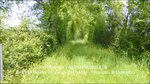 A vendre,corps de ferme,hectares,puits,source,calme,prairies,bois,dependances,grange,Castelmary,Naucelle,Tanus,Albi,Rodez,propriété equestre,taic-immobilier.com,agence immobiliere Tarn,Aveyron,81,12