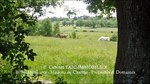 A vendre,corps de ferme,hectares,puits,source,calme,prairies,bois,dependances,grange,Castelmary,Naucelle,Tanus,Albi,Rodez,propriété equestre,taic-immobilier.com,agence immobiliere Tarn,Aveyron,81,12