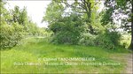 A vendre,corps de ferme,hectares,puits,source,calme,prairies,bois,dependances,grange,Castelmary,Naucelle,Tanus,Albi,Rodez,propriété equestre,taic-immobilier.com,agence immobiliere Tarn,Aveyron,81,12