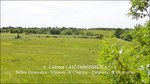 A vendre,corps de ferme,hectares,puits,source,calme,prairies,bois,dependances,grange,Castelmary,Naucelle,Tanus,Albi,Rodez,propriété equestre,taic-immobilier.com,agence immobiliere Tarn,Aveyron,81,12