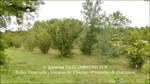 a vendre,82,Tarn et Garonne, demeure de prestige, maison de maître,hectares,puits,parc,truffière,maison d'architecte,taic immobilier,demeude de charme,tarn aveyron immobilier caractère,calme,luxe,lumineux
