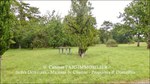 a vendre,82,Tarn et Garonne, demeure de prestige, maison de maître,hectares,puits,parc,truffière,maison d'architecte,taic immobilier,demeude de charme,tarn aveyron immobilier caractère,calme,luxe,lumineux