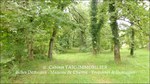 a vendre,82,Tarn et Garonne, demeure de prestige, maison de maître,hectares,puits,parc,truffière,maison d'architecte,taic immobilier,demeude de charme,tarn aveyron immobilier caractère,calme,luxe,lumineux