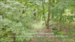 a vendre,82,Tarn et Garonne, demeure de prestige, maison de maître,hectares,puits,parc,truffière,maison d'architecte,taic immobilier,demeude de charme,tarn aveyron immobilier caractère,calme,luxe,lumineux