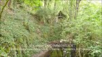 a vendre,82,Tarn et Garonne, demeure de prestige, maison de maître,hectares,puits,parc,truffière,maison d'architecte,taic immobilier,demeude de charme,tarn aveyron immobilier caractère,calme,luxe,lumineux
