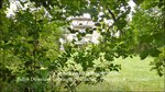 a vendre,82,Tarn et Garonne, demeure de prestige, maison de maître,hectares,puits,parc,truffière,maison d'architecte,taic immobilier,demeude de charme,tarn aveyron immobilier caractère,calme,luxe,lumineux