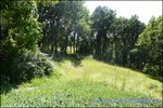 A vendre par TAIC Immobilier agence immobilière à cordes sur ciel, secteur Cordes sur Ciel propriété de 860m2 sur 5 hectares, cuisine pro, salle de restaurant, puits.