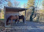 A vendre,Aveyron,Villefranche de Rouergue,Lugan,Montbazens,12,Belle propriété de construction récente sur environ 240m2, dépendances et 3.6Ha en situation dominante,Box,Barns,source,chevaux