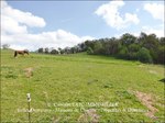 A vendre,Aveyron,Villefranche de Rouergue,Lugan,Montbazens,12,Belle propriété de construction récente sur environ 240m2, dépendances et 3.6Ha en situation dominante,Box,Barns,source,chevaux