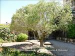  a vendre,cordes sur ciel,tarn,cité medievale,demeure,maison,immeuble, du XIIIème,13ième,monument historique,450m2,jardin,escalier à vis,fenetre a menaux,jolie vue,81170,gite,chambre d'hote,calme,taic immobilier
