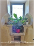 taic immobilier,81,tarn,cordes sur ciel,gaillac,albi,a vendre, propriété,demeure,prestige,calme,hectare,parc,puits,propriété a vendre, agence immobilière cordes sur ciel,albi,