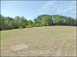 taic immobilier,81,tarn,cordes sur ciel,gaillac,albi,a vendre, propriété,demeure,prestige,calme,hectare,parc,puits,propriété a vendre, agence immobilière cordes sur ciel,albi,