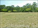 taic immobilier,81,tarn,cordes sur ciel,gaillac,albi,a vendre, propriété,demeure,prestige,calme,hectare,parc,puits,propriété a vendre, agence immobilière cordes sur ciel,albi,