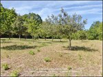 taic immobilier,81,tarn,cordes sur ciel,gaillac,albi,a vendre, propriété,demeure,prestige,calme,hectare,parc,puits,propriété a vendre, agence immobilière cordes sur ciel,albi,