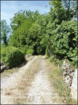 taic immobilier,81,tarn,cordes sur ciel,gaillac,albi,a vendre, propriété,demeure,prestige,calme,hectare,parc,puits,propriété a vendre, agence immobilière cordes sur ciel,albi,