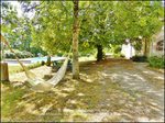 taic immobilier,81,tarn,cordes sur ciel,gaillac,albi,a vendre, propriété,demeure,prestige,calme,hectare,parc,puits,propriété a vendre, agence immobilière cordes sur ciel,albi,