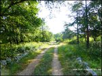 Domaine de chasse de 256 hectares avec bergerie proche cordes sur ciel et saint antonin noble val 82 81
