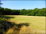 Domaine de chasse de 256 hectares avec bergerie proche cordes sur ciel et saint antonin noble val 82 81