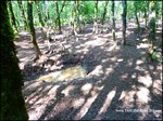 Domaine de chasse de 256 hectares avec bergerie proche cordes sur ciel et saint antonin noble val 82 81