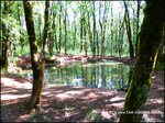 Domaine de chasse de 256 hectares avec bergerie proche cordes sur ciel et saint antonin noble val 82 81