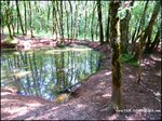 Domaine de chasse de 256 hectares avec bergerie proche cordes sur ciel et saint antonin noble val 82 81
