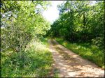 Domaine de chasse de 256 hectares avec bergerie proche cordes sur ciel et saint antonin noble val 82 81