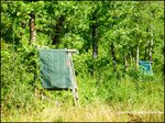 Domaine de chasse de 256 hectares avec bergerie proche cordes sur ciel et saint antonin noble val 82 81