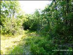 Domaine de chasse de 256 hectares avec bergerie proche cordes sur ciel et saint antonin noble val 82 81