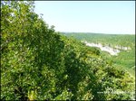 Domaine de chasse de 256 hectares avec bergerie proche cordes sur ciel et saint antonin noble val 82 81