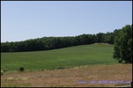 A vendre Castelnau de Montmiral Domaine de 8 hectares avec piscine, Maison principale, maison de fonction, 6 boxes et de nombreuses dépendances