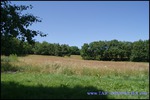 A vendre Castelnau de Montmiral Domaine de 8 hectares avec piscine, Maison principale, maison de fonction, 6 boxes et de nombreuses dépendances