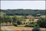 A vendre Castelnau de Montmiral Domaine de 8 hectares avec piscine, Maison principale, maison de fonction, 6 boxes et de nombreuses dépendances