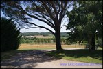 A vendre Castelnau de Montmiral Domaine de 8 hectares avec piscine, Maison principale, maison de fonction, 6 boxes et de nombreuses dépendances